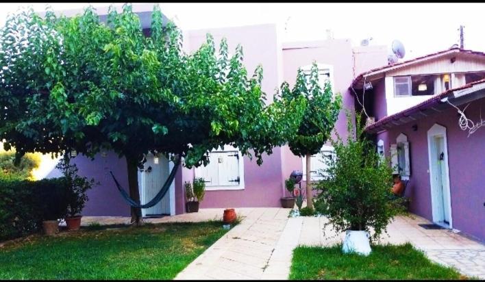 "Villa Kanavos" Apts Mátala Exterior foto