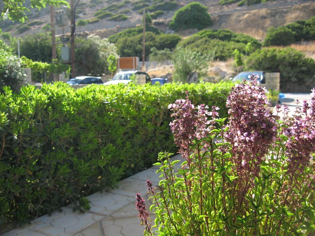 "Villa Kanavos" Apts Mátala Quarto foto